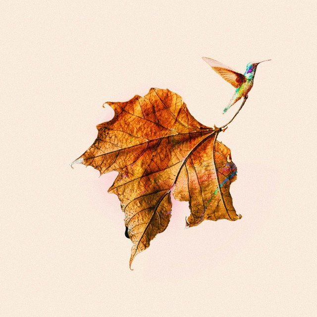 I let the poems have you by Francis Moon x Sine Wave Square
