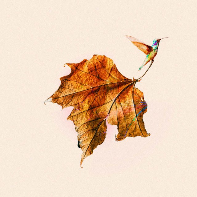 francis moon x sine wave square i let the poems have you